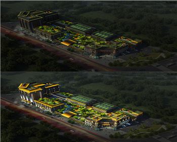 青海景觀燈涇陽項目