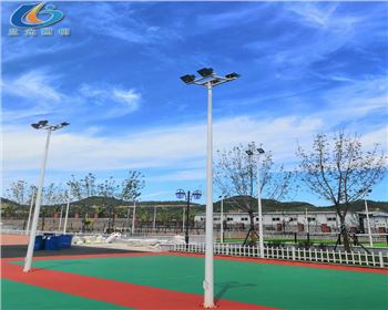 延安學(xué)校路燈照明項目